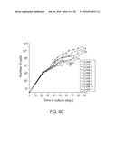 ISOLATION, EXPANSION AND USE OF CLONOGENIC ENDOTHELIAL PROGENITOR CELLS diagram and image