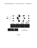 ISOLATION, EXPANSION AND USE OF CLONOGENIC ENDOTHELIAL PROGENITOR CELLS diagram and image