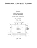 Reconstituted Histone Methyltransferase Complex and Methods of Identifying     Modulators Thereof diagram and image