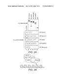 Reconstituted Histone Methyltransferase Complex and Methods of Identifying     Modulators Thereof diagram and image