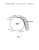 Polypeptides Having Lipase Activity and Polynucleotides Encoding Same diagram and image