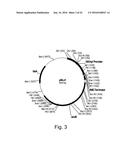 Polypeptides Having Lipase Activity and Polynucleotides Encoding Same diagram and image