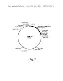 Polypeptides Having Lipase Activity and Polynucleotides Encoding Same diagram and image