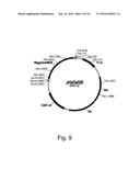 Polypeptides Having Lipase Activity and Polynucleotides Encoding Same diagram and image