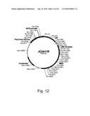 Polypeptides Having Lipase Activity and Polynucleotides Encoding Same diagram and image