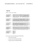 BACTERIAL HYALURONIDASE AND PROCESS FOR ITS PRODUCTION diagram and image