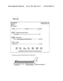 BACTERIAL HYALURONIDASE AND PROCESS FOR ITS PRODUCTION diagram and image