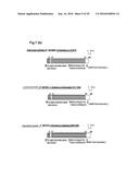 BACTERIAL HYALURONIDASE AND PROCESS FOR ITS PRODUCTION diagram and image