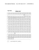 BACTERIAL HYALURONIDASE AND PROCESS FOR ITS PRODUCTION diagram and image