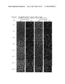 CELL CULTURING METHOD, CELL CULTURING APPARATUS AND KIT diagram and image