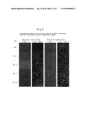 CELL CULTURING METHOD, CELL CULTURING APPARATUS AND KIT diagram and image