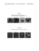 CELL CULTURING METHOD, CELL CULTURING APPARATUS AND KIT diagram and image