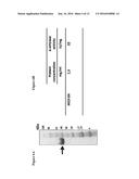 ENZYMES AND USES THEREOF diagram and image