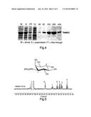 Inositol Biotransformation diagram and image