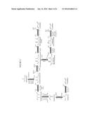 METHODS FOR BIOSYNTHESIZING 3-OXOPENT-4-ENOYL-CoA diagram and image