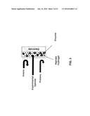 DEVICE AND METHODS OF USING DEVICE FOR DETECTION OF AMINOACIDOPATHIES diagram and image