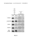 SELECTIVE DETECTION OF ALKENES OR ALKYNES diagram and image