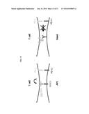 SYSTEMS AND METHODS FOR ASSESSING MODULATORS OF IMMUNE CHECKPOINTS diagram and image