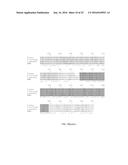 MODULATING BACTERIAL MAM POLYPEPTIDES IN PATHOGENIC DISEASE diagram and image