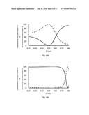 POLARIZER AND OPTICAL ELEMENT HAVING POLARIZER diagram and image