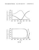 POLARIZER AND OPTICAL ELEMENT HAVING POLARIZER diagram and image