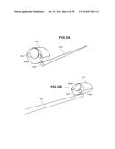 ENDOSCOPE WITH SHARED WORKING CHANNEL diagram and image