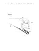 ENDOSCOPE WITH SHARED WORKING CHANNEL diagram and image