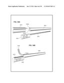 ENDOSCOPE WITH SHARED WORKING CHANNEL diagram and image