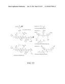 MELANOTROPIN LIGANDS FOR SKIN CARE diagram and image