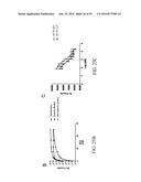 MELANOTROPIN LIGANDS FOR SKIN CARE diagram and image