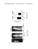 MELANOTROPIN LIGANDS FOR SKIN CARE diagram and image