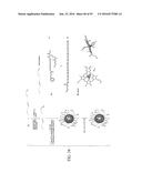 MELANOTROPIN LIGANDS FOR SKIN CARE diagram and image