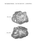 MELANOTROPIN LIGANDS FOR SKIN CARE diagram and image