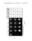 MELANOTROPIN LIGANDS FOR SKIN CARE diagram and image