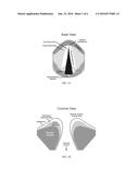 Hydrogels for Vocal Cord and Soft Tissue Augmentation and Repair diagram and image