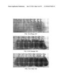 SYSTEMS FOR CUSTOM COLORATION diagram and image