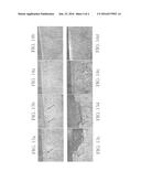 SHEAR KNIFE diagram and image