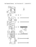 TAMPER-EVIDENT REUSABLE PACKAGE CLOSURE diagram and image