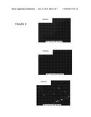 SURFACE PROTECTION FILM diagram and image