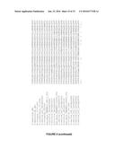 PLANTS HAVING ONE OR MORE ENHANCED YIELD-RELATED TRAITS AND A METHOD FOR     MAKING THE SAME diagram and image