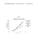 RECOMBINANT PROTEIN EXPRESSION USING A HYBRID CHEF1 PROMOTER diagram and image