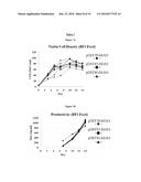 RECOMBINANT PROTEIN EXPRESSION USING A HYBRID CHEF1 PROMOTER diagram and image