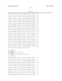 RECOMBINANT PROTEIN EXPRESSION USING A HYBRID CHEF1 PROMOTER diagram and image