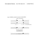 Methods, Cells & Organisms diagram and image