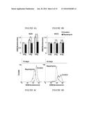 METHODS OF PREVENTING THE DEVELOPMENT OF MUCOSITIS AND RELATED DISORDERS diagram and image