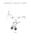 COLLAPSIBLE CARRYING DEVICE diagram and image