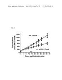 METHODS AND COMPOSITIONS FOR TREATING MALIGNANT TUMORS ASSOCIATED WITH     KRAS MUTATION diagram and image