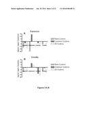 METHODS FOR ALTERING POLYPEPTIDE EXPRESSION AND SOLUBILITY diagram and image