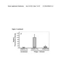 MODIFIED CASCADE RIBONUCLEOPROTEINS AND USES THEREOF diagram and image