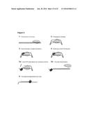 MODIFIED CASCADE RIBONUCLEOPROTEINS AND USES THEREOF diagram and image